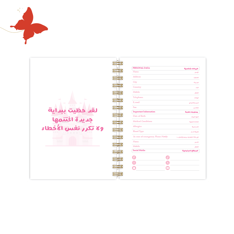 التقسيمات الداخلية لأجندة 2025 اميرات ديزني البيانات الشخصية للسلك الذهبي